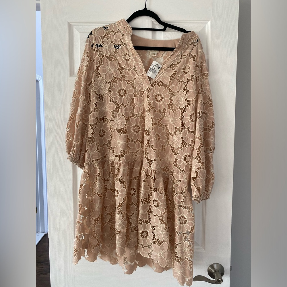Shoshanna Blush Floral Lace Dress